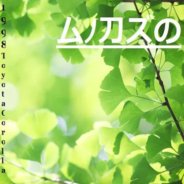 GINKO by 1998 Toyota Corolla - album cover