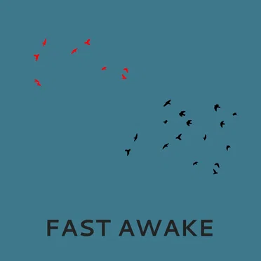 Fast Awake
