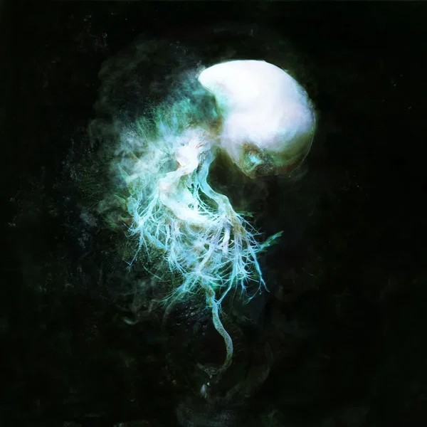 The Disappearance Of Memories