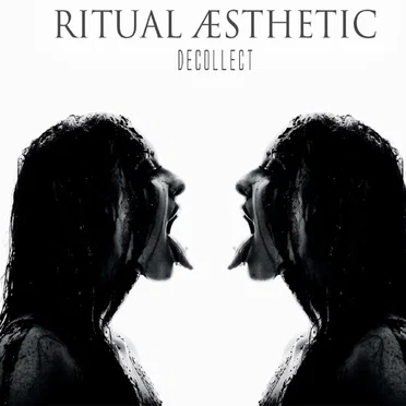 Decollect by Ritual Aesthetic - album cover