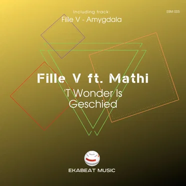 ’T Wonder Is Geschied by Fille V - album cover