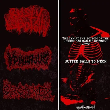 The zyn at the bottom of the jerkey bag had me spinnin' dawg / Gutted balls to neck by RUSTY LOBOTOMY - album cover