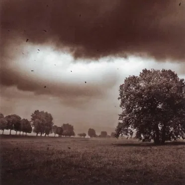 It's All Gone South by Bringing Down Broadway - album cover