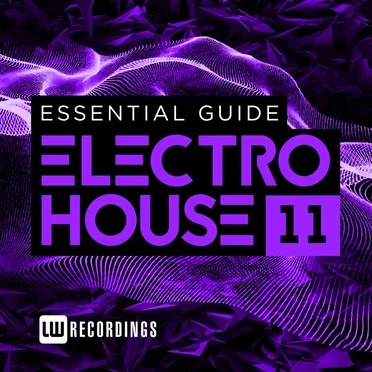 Essential Guide: Electro House 11 by Various Artists - album cover