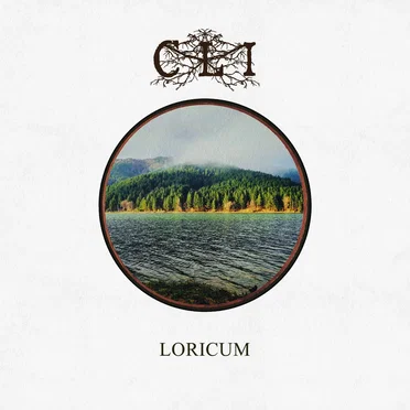 Loricum
