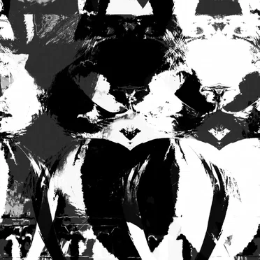 The Pain of Being Fractured