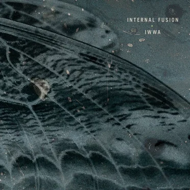 IWWA by Internal Fusion - album cover