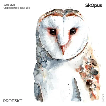 Wub Style / Coalescence by SkOpus - album cover