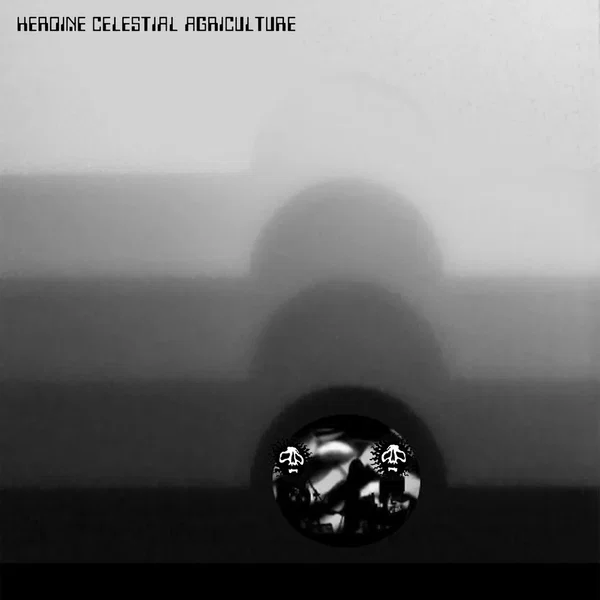 Supply Room Caned (Baked)