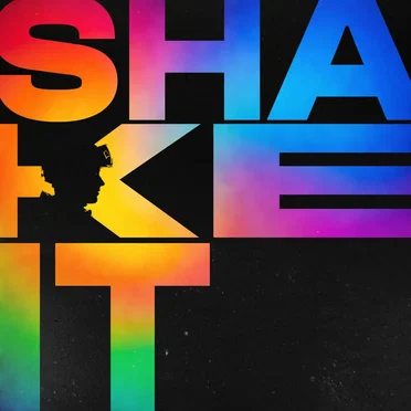 SHAKE IT DUB by H BOYS - album cover