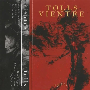 Tolls + Vientre