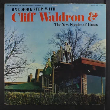 One More Step by Cliff Waldron and the New Shades of Grass - album cover