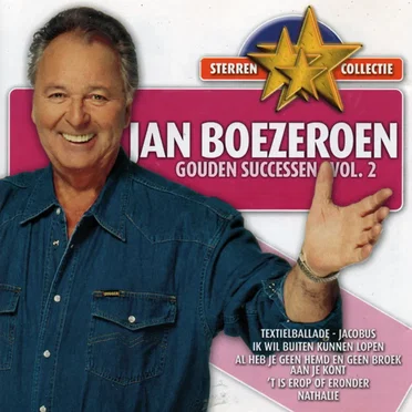 Gouden successen, volume 2