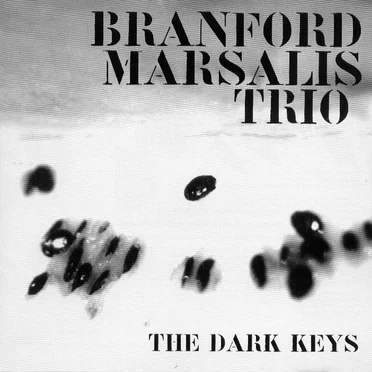 The Dark Keys by Branford Marsalis Trio - album cover