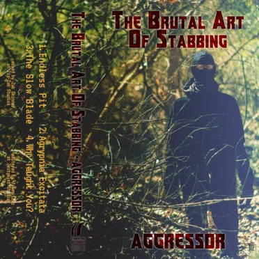 Aggressor/Vital Points by The Brutal Art of Stabbing - album cover