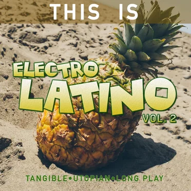 This is Electrolatino, Vol. 2