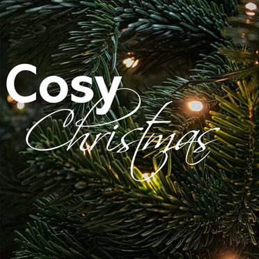 Cosy Christmas by Various Artists - album cover