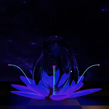 Relaxation Music 10.23.20