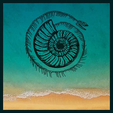 CONDITIONAL LOVE & Beachcomber Blues (solo) by The Narcissist Cookbook - album cover