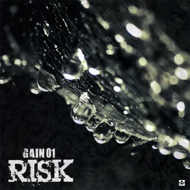 RISK