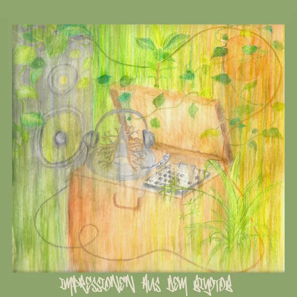 Impressionen aus dem Biyotob