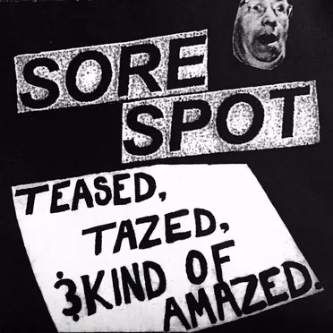 Teased,Tazed, & Kind of Amazed