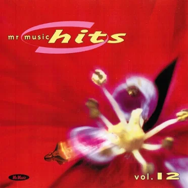 Mr Music Hits 12. 1999 by Various Artists - album cover