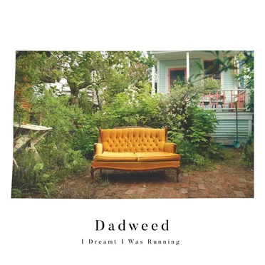 I Dreamt I Was Running by Dadweed - album cover