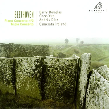 Piano Concerto No. 3, Triple Concerto