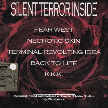Silent Terror Inside by Anonima Disastri - album cover