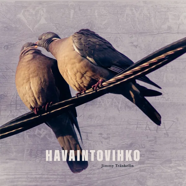 Havaintovihko