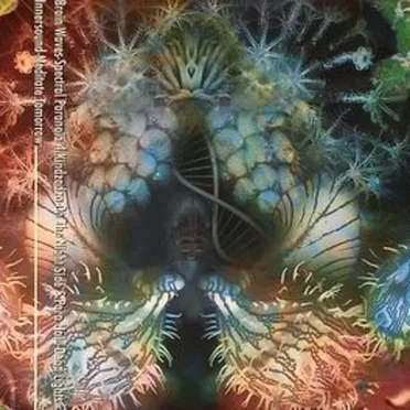 Hasta Las Patillas by Various Artists - album cover