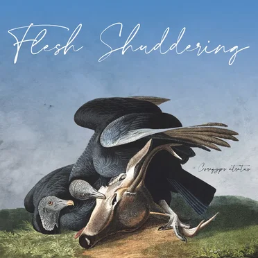 Coragyps Atratus by Flesh Shuddering - album cover