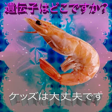 ケッズは大丈夫です by 遺伝子はどこですか？ - album cover