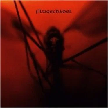 Flugschädel by Flugschädel - album cover