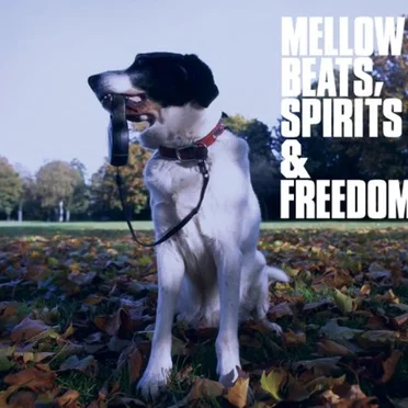 Mellow Beats, Spirits & Freedom by Various Artists - album cover
