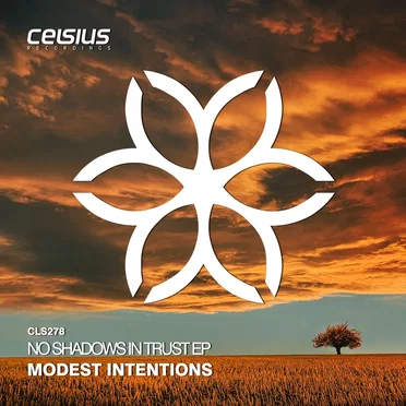 Modest Intentions