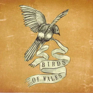 Fall of the 49 by Birds of Wales - album cover