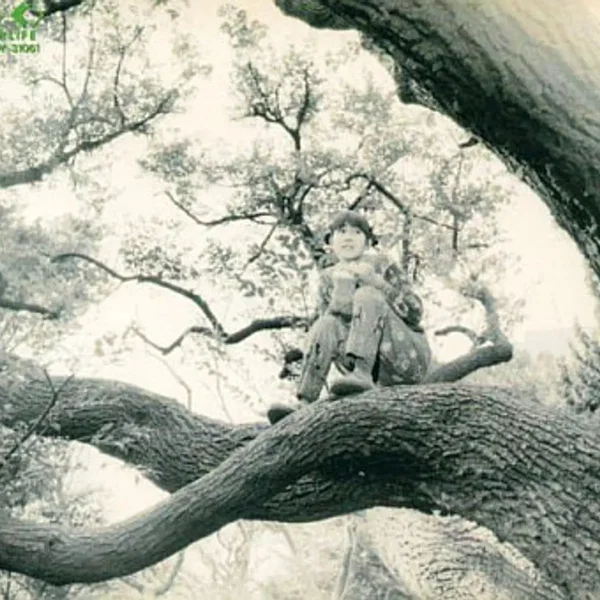 風や空のことばかり