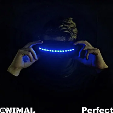 Perfect