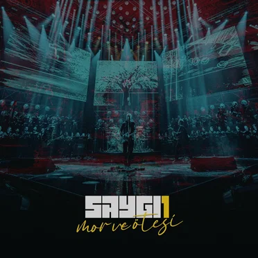SAYGI1