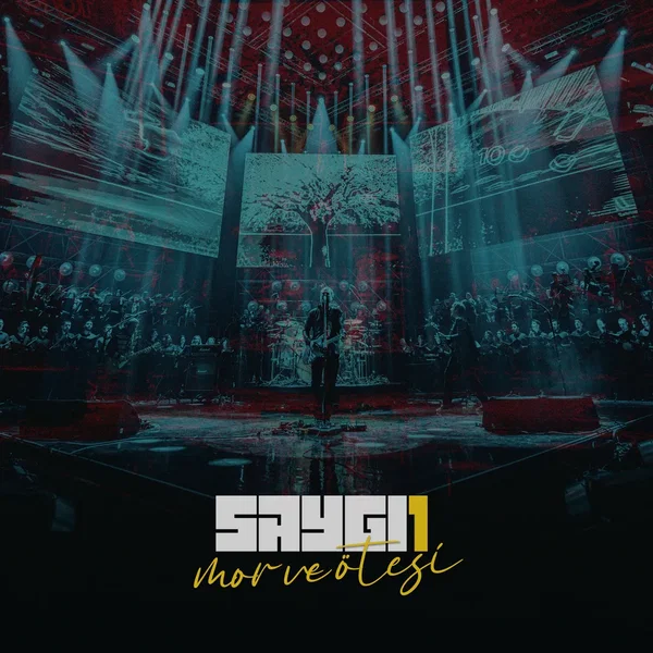 SAYGI1