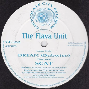 Dream (Dubwise) / Scat by The Flava Unit - album cover