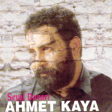Sevgi Duvarı by Ahmet Kaya - album cover