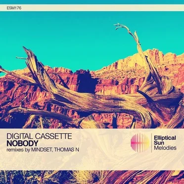 Nobody by Digital Cassette - album cover