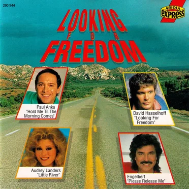 Looking for Freedom by Various Artists - album cover