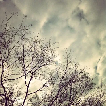 Pebbles in the Sky