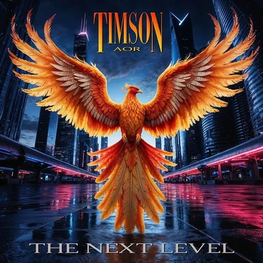 The Next Level by Timson AOR - album cover