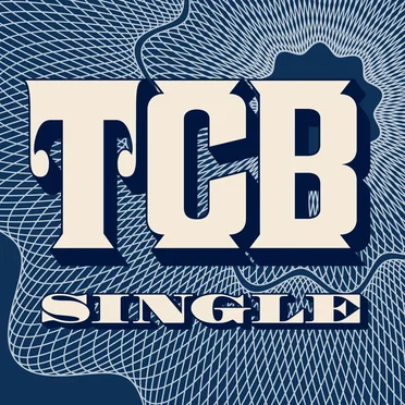 It's a Confusing World / Not Fragile by The Company Band - album cover