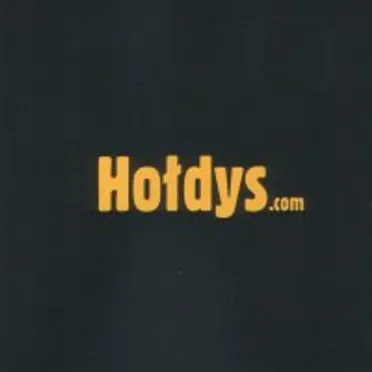 Hołdys.com by Zbigniew Hołdys - album cover
